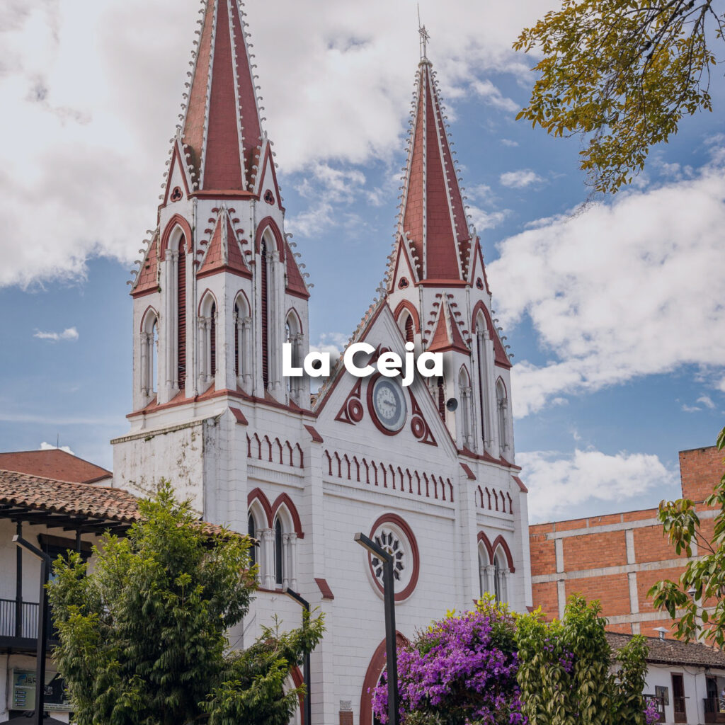 Paisajes rurales y cultivos de flores en La Ceja, Antioquia.